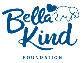 Bella Kind Foundation